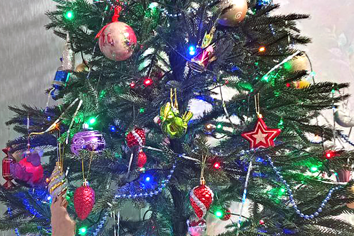 Фото: ИА "Регион 71"