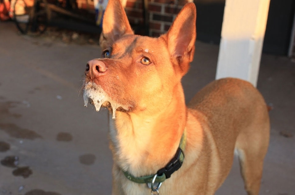 Фотография из интернета