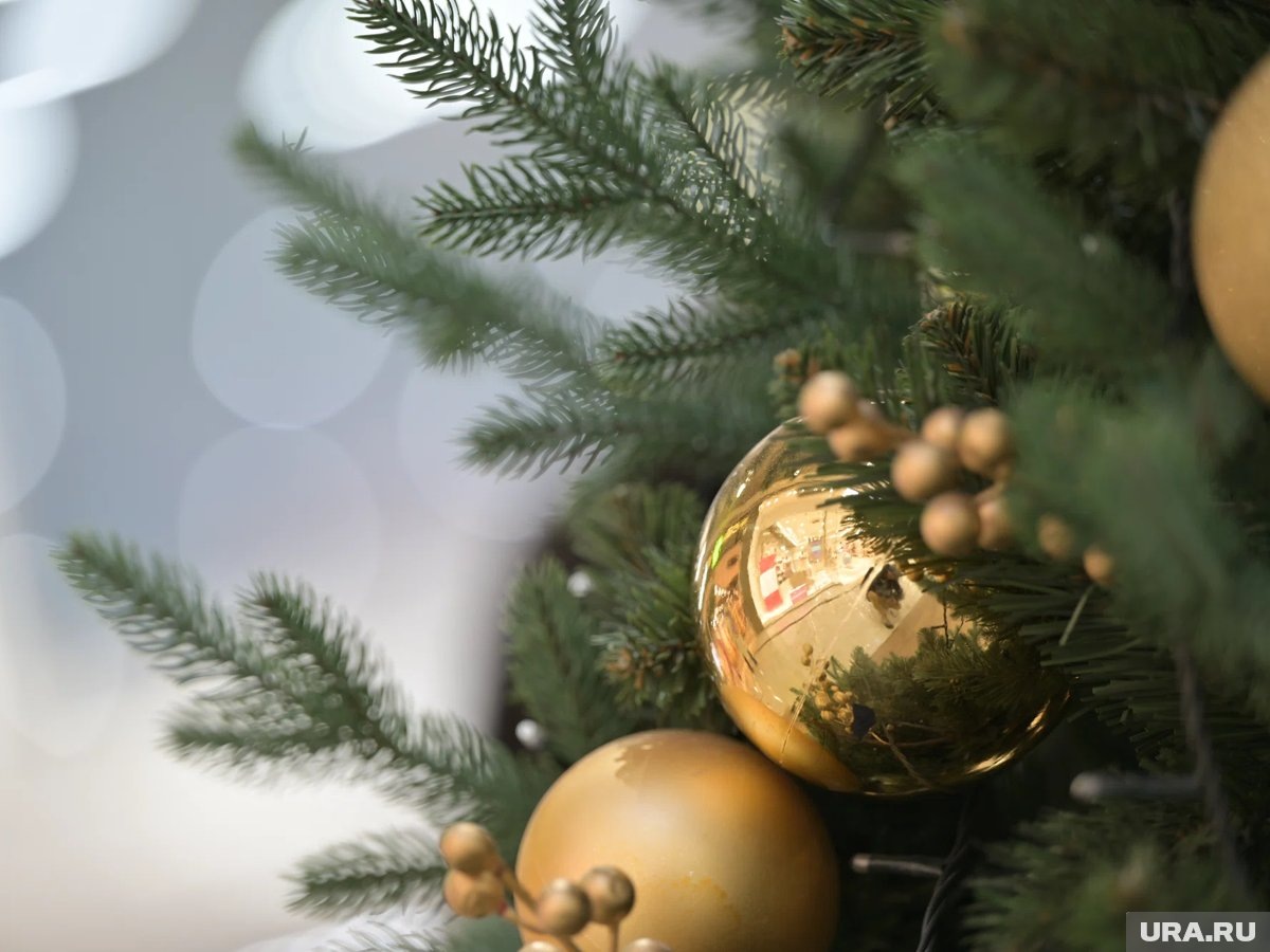     В новогодние праздники в Перми проведут сотни различных мероприятий