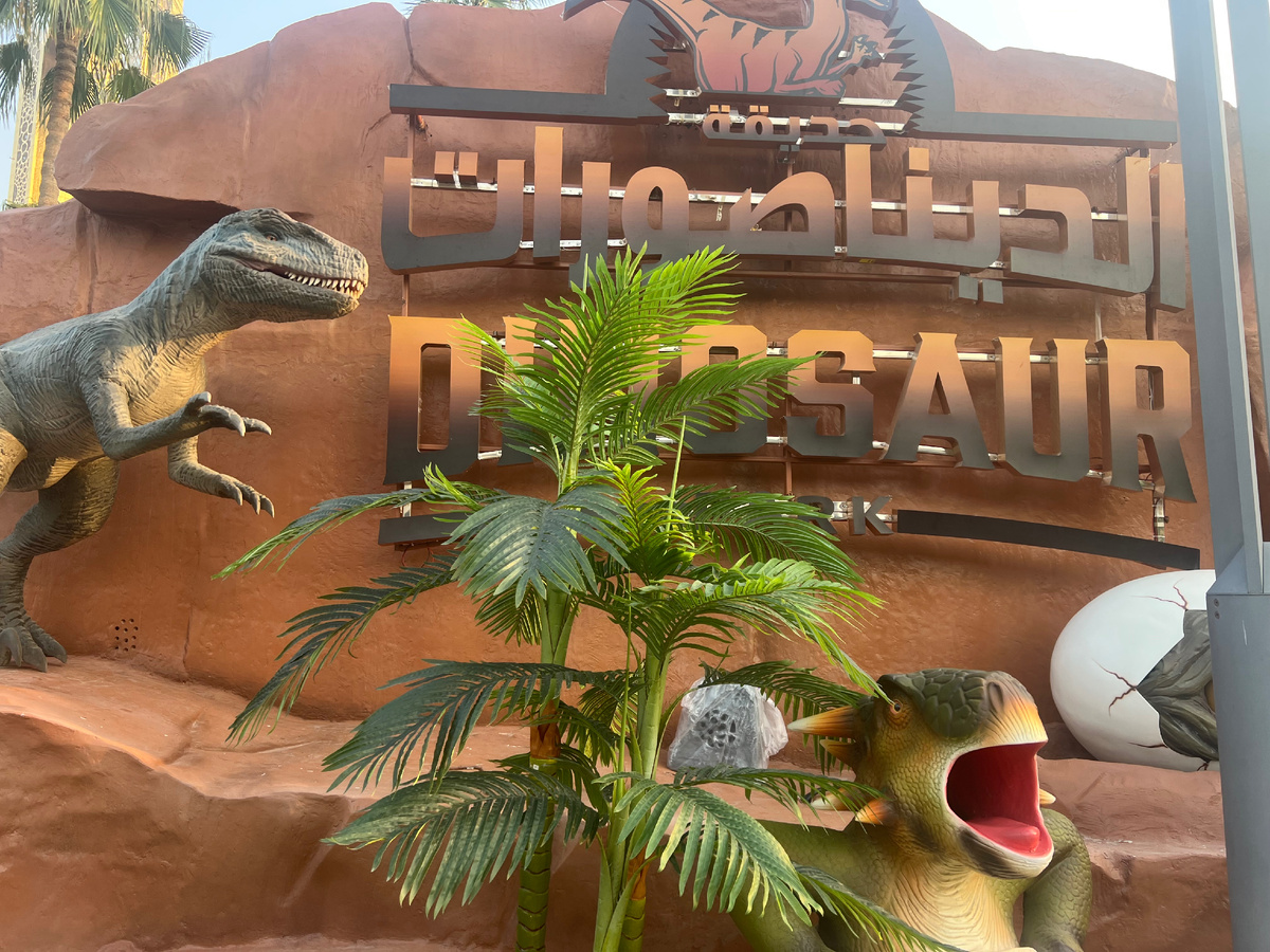 Все фотографии авторские. Сделаны в декабре 2025 года. Копирование только с разрешения автора. 