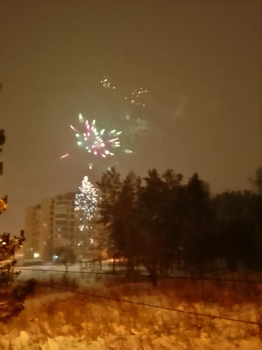 Торжественная встреча Нового года