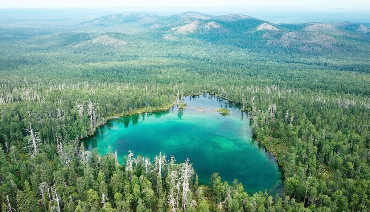 Ведьмино логово.