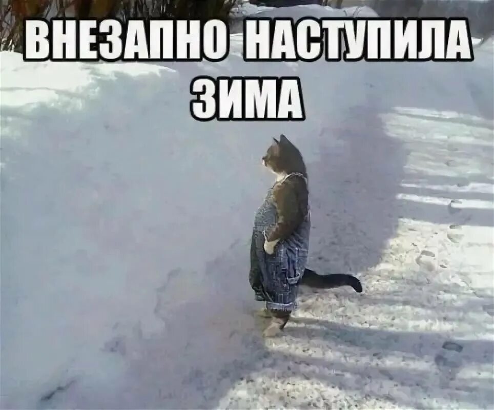 Фото из открытых источников сети Интернет 