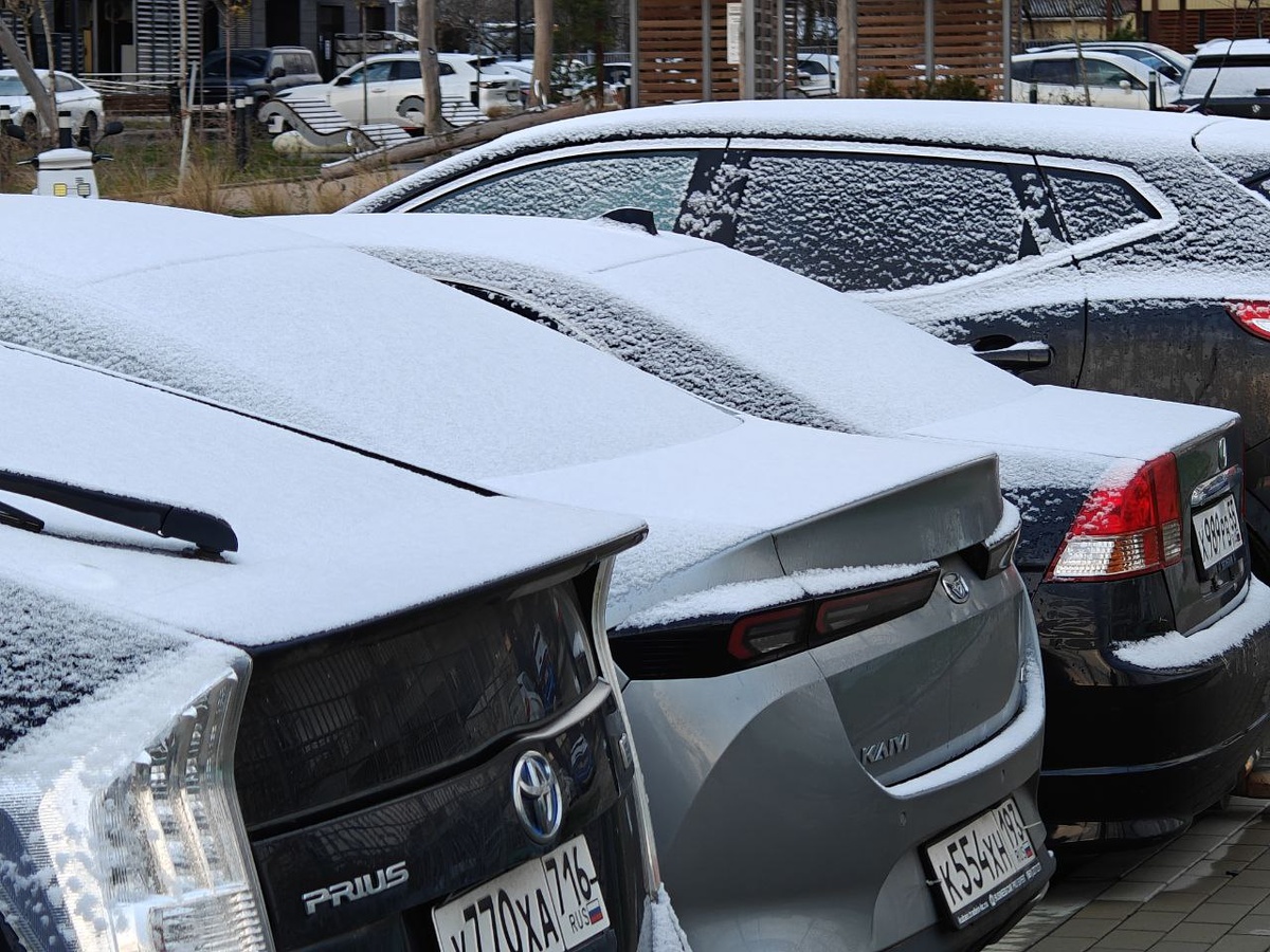    Фото: Юрий Серебренников/BFM Кубань