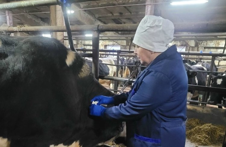    Фото: Министерство сельского хозяйства и продовольственных ресурсов Вологодской области