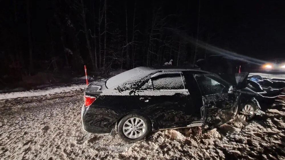    Фото: пресс-служба Госавтоинспекции Тюменской области