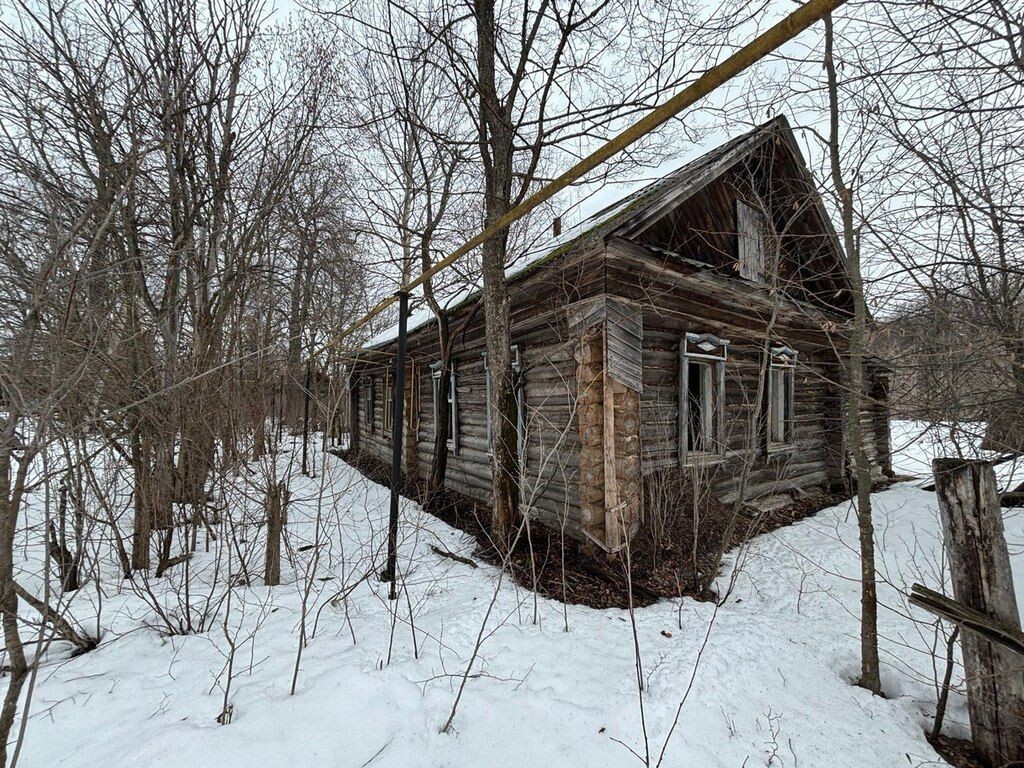 Фото: Фарида Якушева