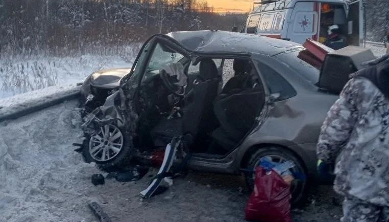    Фото: Поисково-спасательная служба КМО/VK Ульяна Бажанова