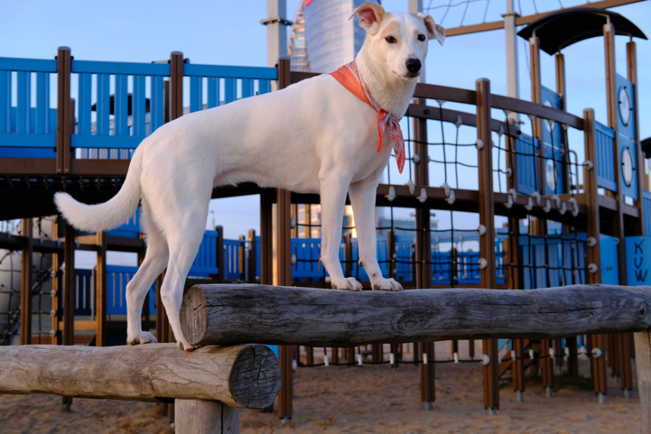    Shutterstock/FOTODOM