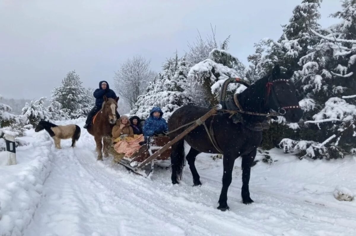    На ферму можно приехать, чтобы просто пообщаться с животными, а можно оказать физическую помощь по хозяйству или совершить конную прогулку.