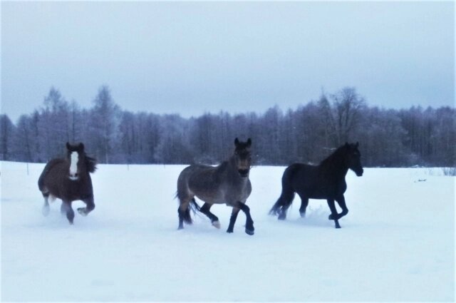    Фото:  Ольги Ивановой