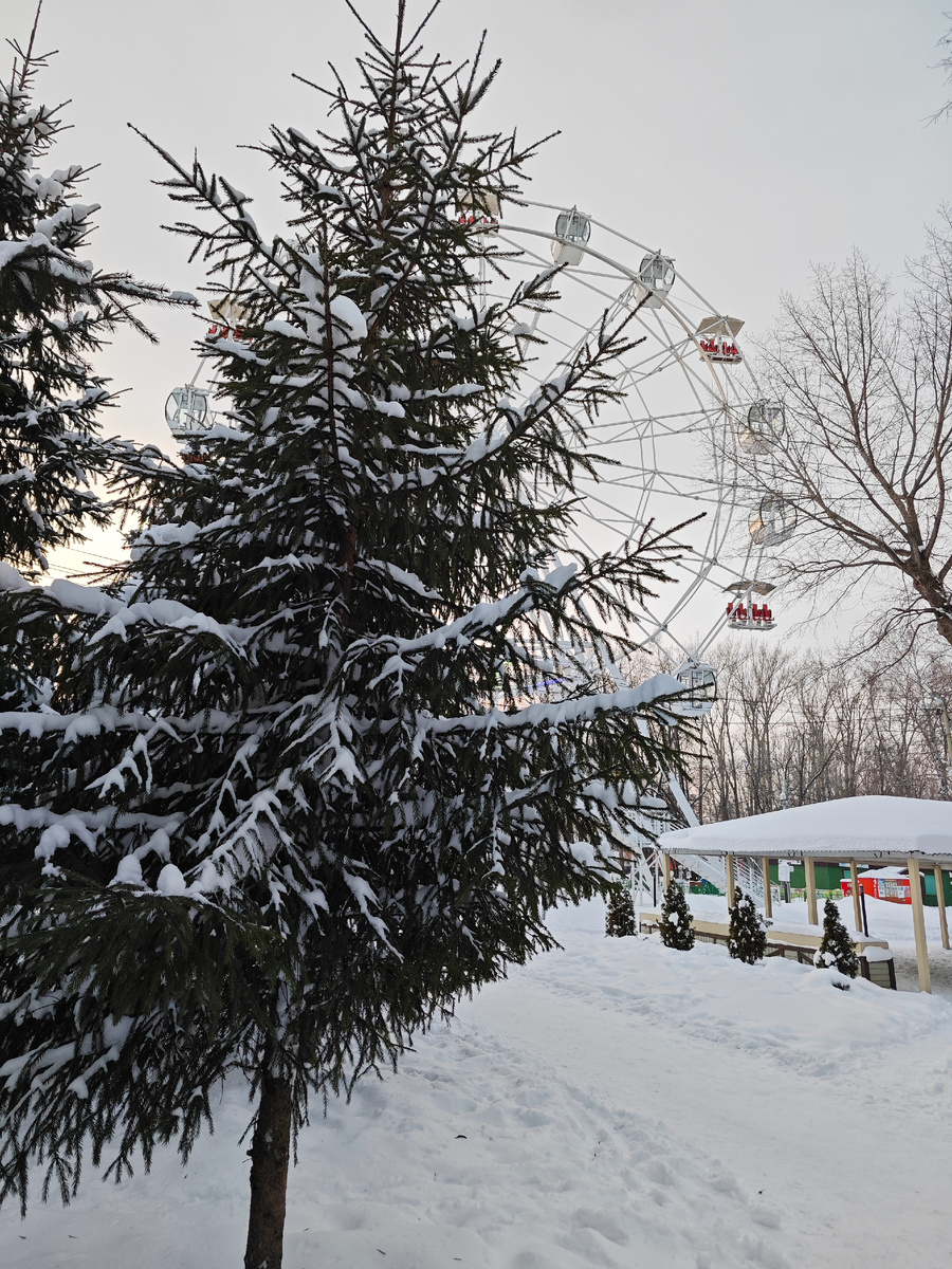 Парк Победы. Вид на колесо обозрения.