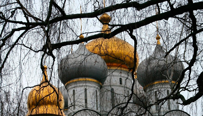 3 января отмечается Прокопьев день, или Петр Полукорм. Фото: pxhere.com