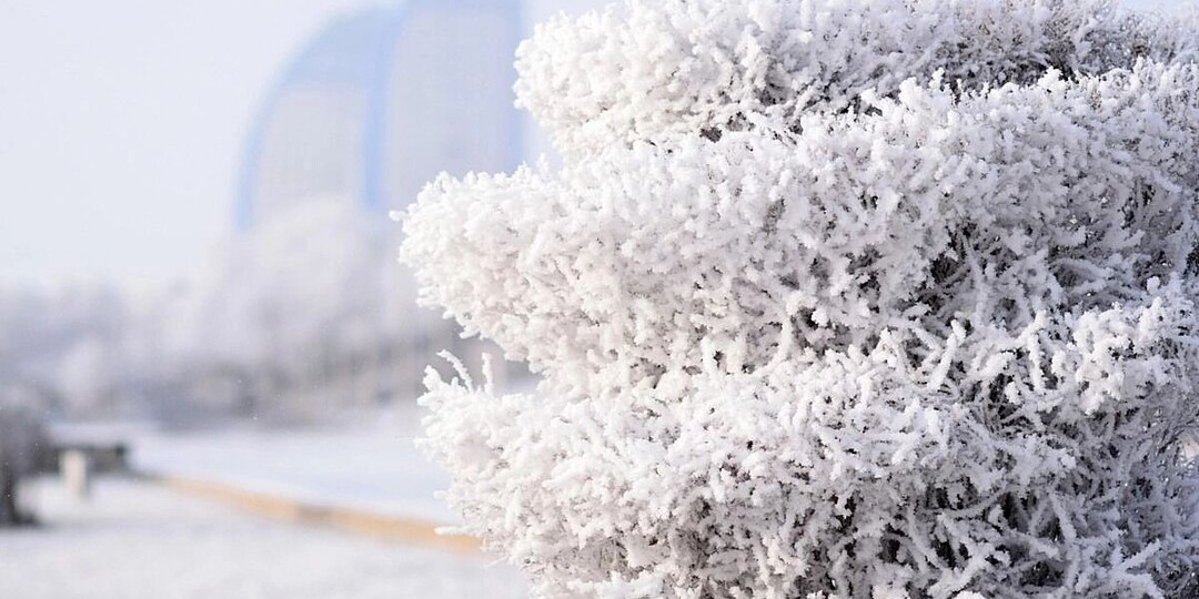 Снежная буря накроет Новосибирск