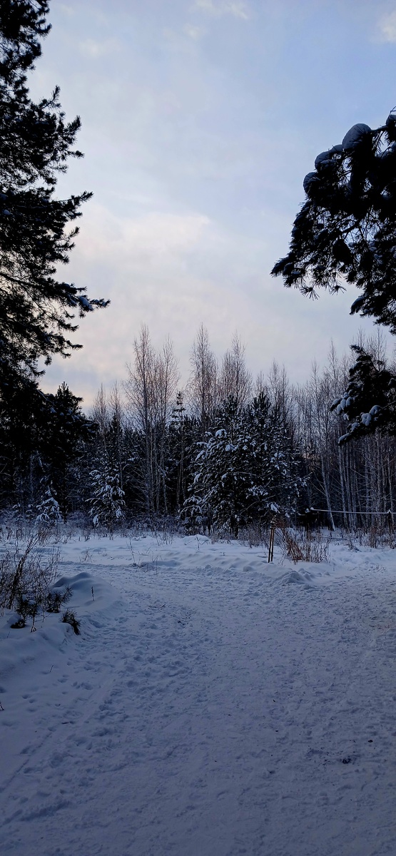 "Доброе утро, мир!!! Ты прекрасен!!!" Фото автора