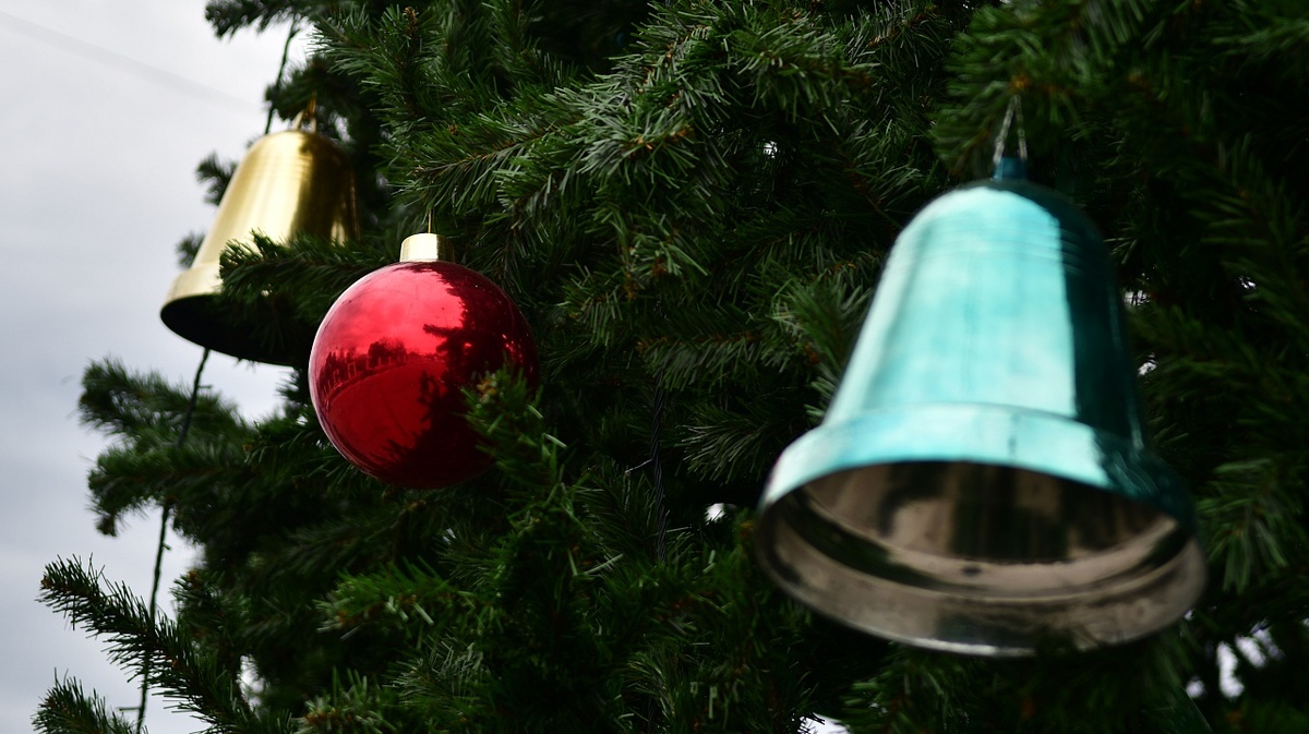     Фото: Александр Райко