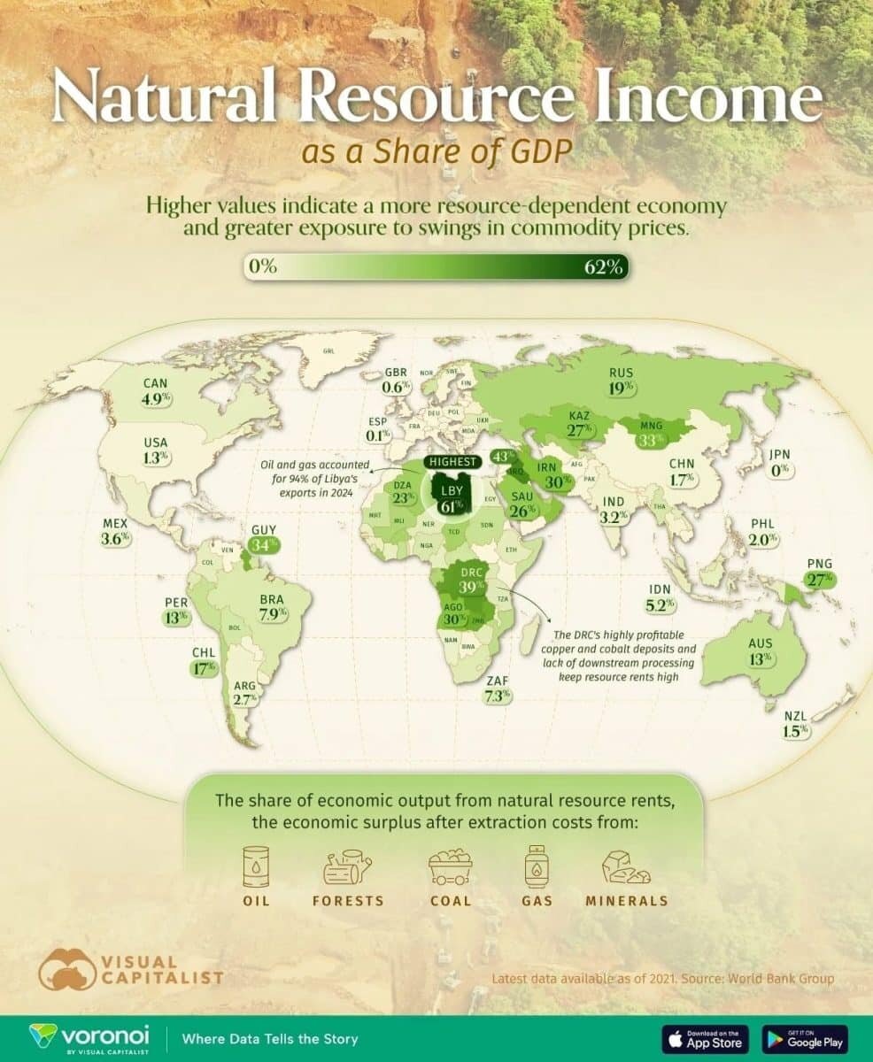    На карте: какая страна больше всего зависит от природных ресурсов? / © Visual Capitalist