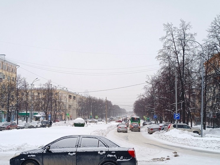     Дорога. Фото: Николай Курилов / МК-Урал