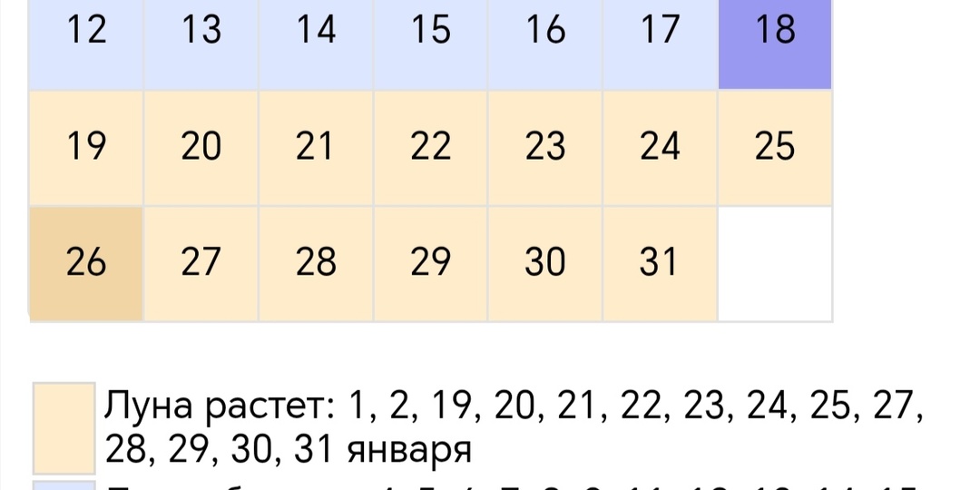 Лунный календарь садовода и огородника на январь 2026 года.