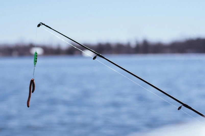     Тематическое фото. Фото: unsplash.com