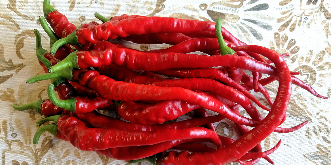 Перцы. Новинки - 2025 года. Острые (слабоострые).