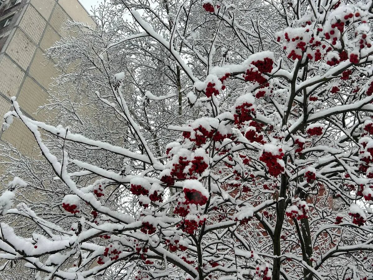    Фото: Мойка78