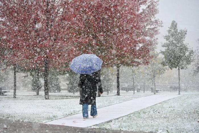 Обложка © Life.ru