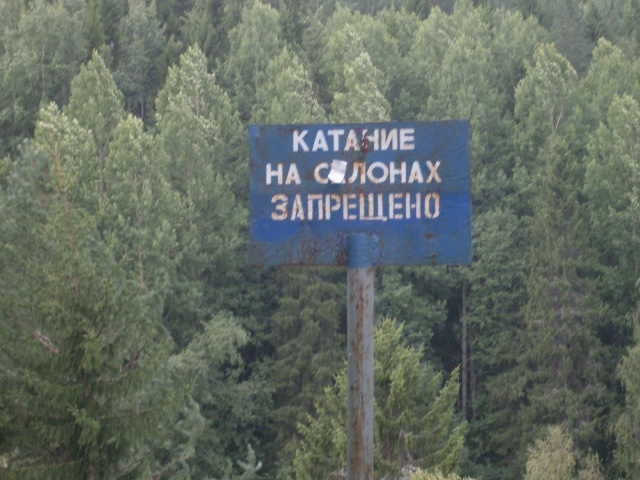 Архангельская область: катание на слонах ЗАПРЕЩЕНО