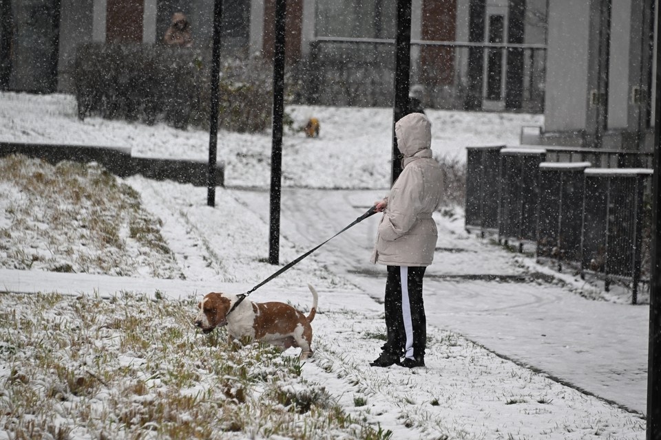    Облачная погода и снег ожидаются в Москве 2 января Михаил ФРОЛОВ