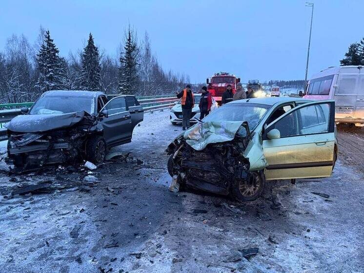     фото: телеграм-канал ГОСАВТОИНСПЕКЦИи БРЯНСКОЙ ОБЛАСТИ