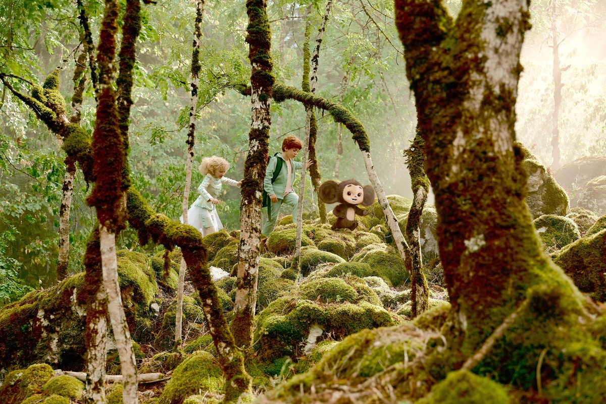    Yellow, black and white