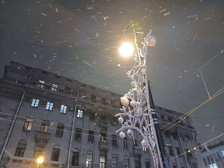     Фото: Архив МК в Питере.