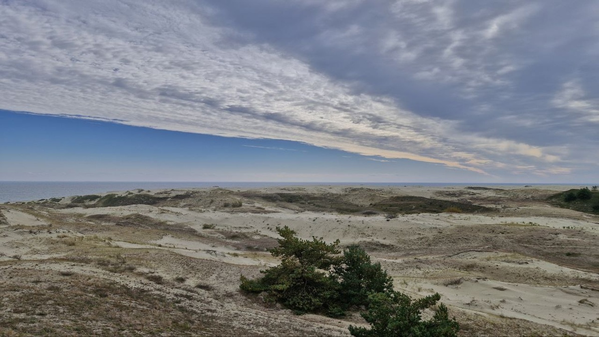 Куршская коса. Фото канала «Гид по России | Путешествия»