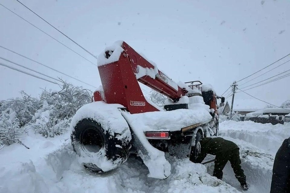    Фото: t.me/rossetiyug