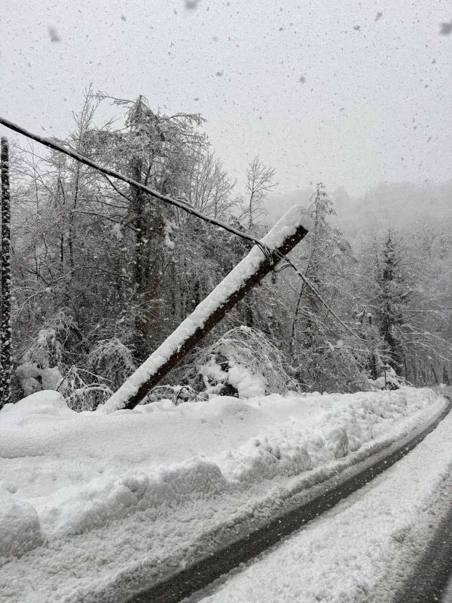    Фото: t.me/rossetiyug