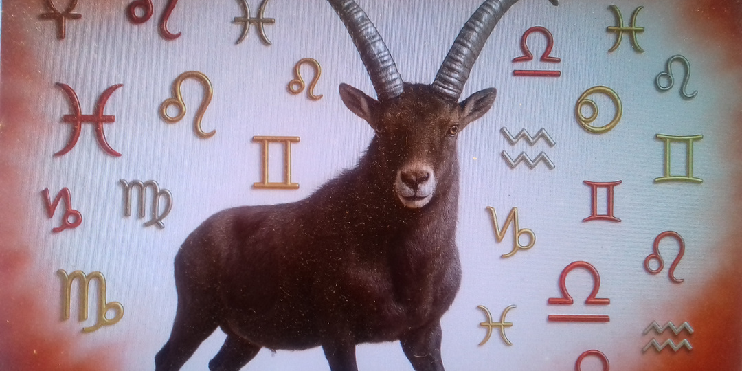 Что ждет козерожку в 2026 году?