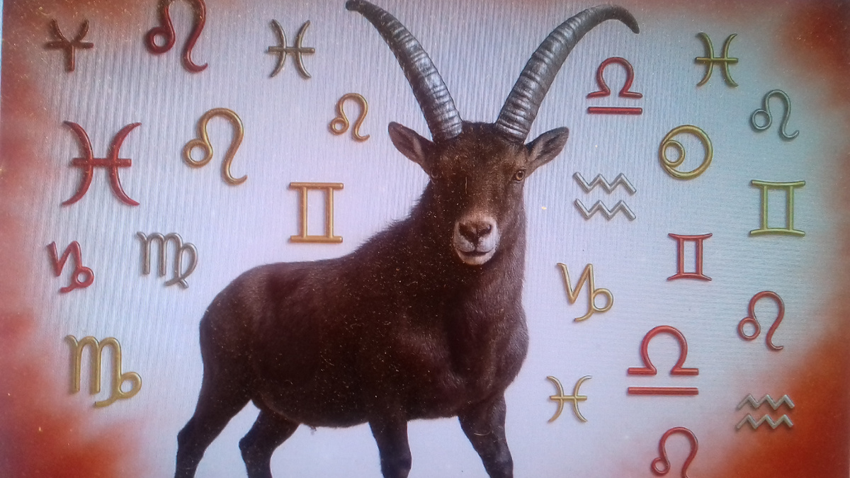 фото из интернета