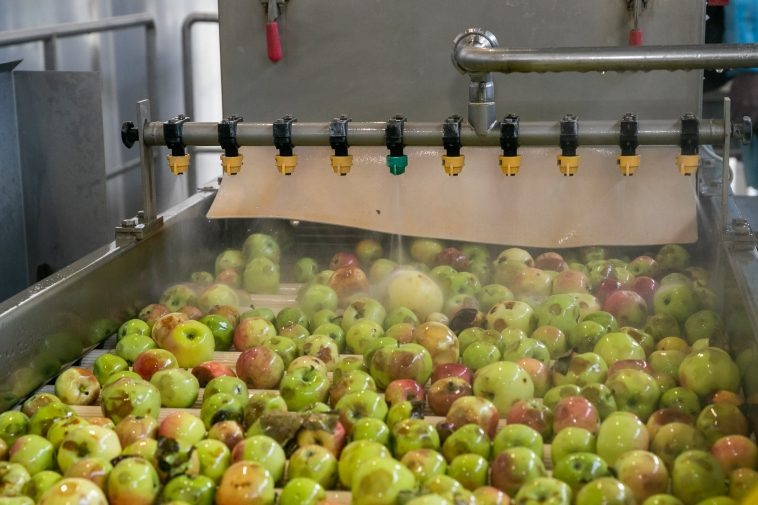 Фото: администрации Волгоградской области