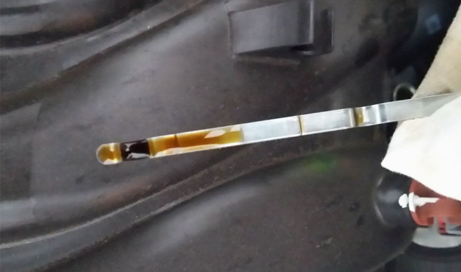 Масло на щупе — это не только уровень: признаки состояния двигателя, которые игнорируют 90% водителей