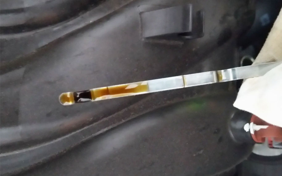 Фото: источник https://clck.ru/3R8TLR