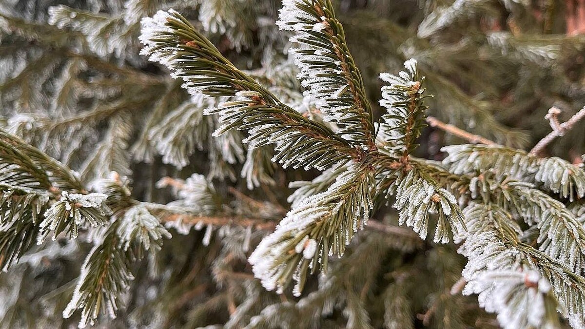    Фото: телеканал «Краснодар»