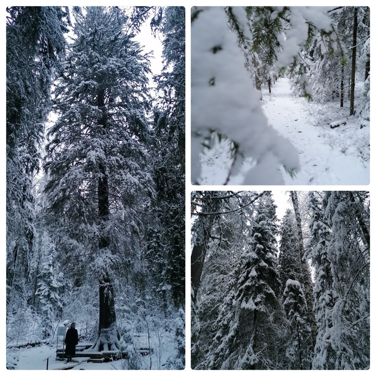    Фото: Управление по охране объектов культурного наследия Карелии