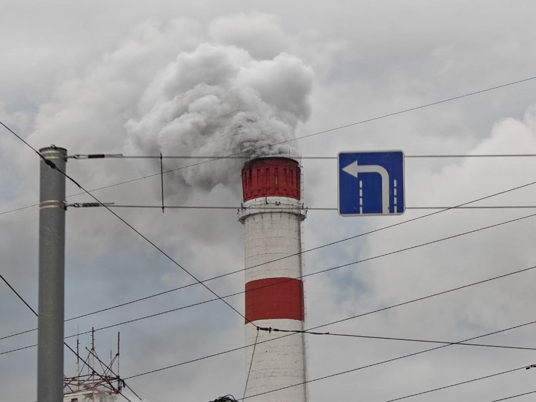    Фото: Юрий Серебренников/BFM Кубань