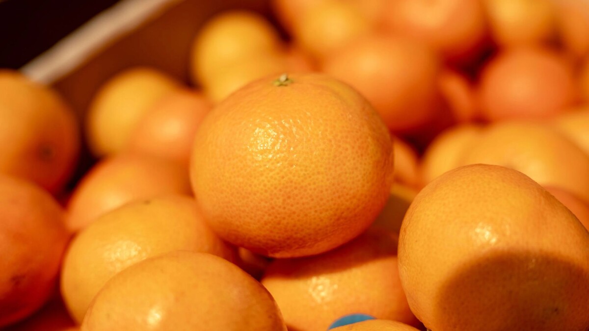    Фото: Сергей Зубков / «Ямал-Медиа»