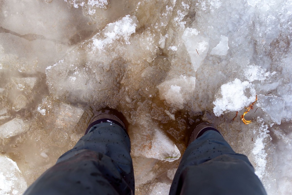    Фото: Istock/Дмитрий Седаков