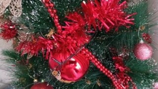    фото: "Кубань сегодня" Людмила Лата