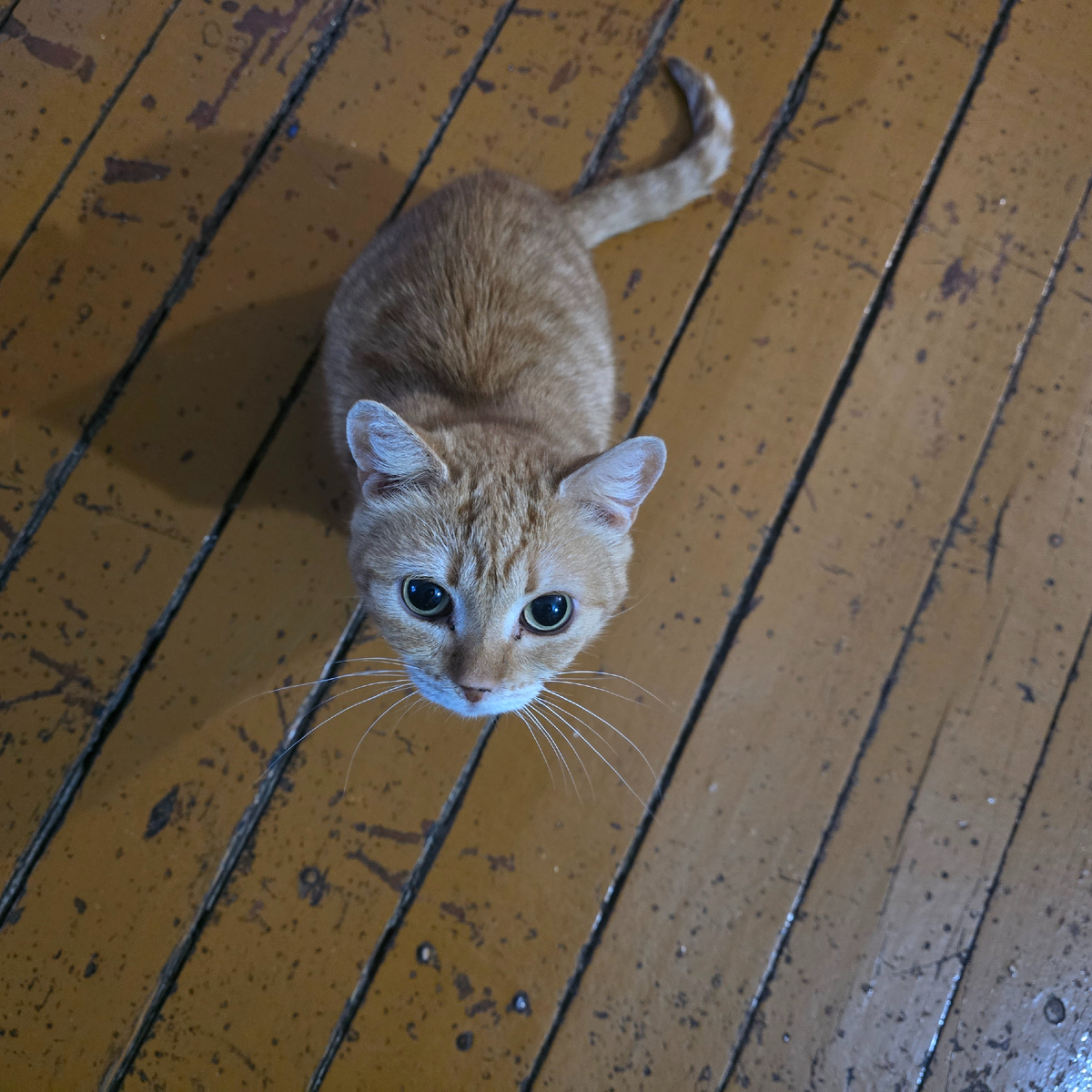 голубые глаза полные надежды и страха