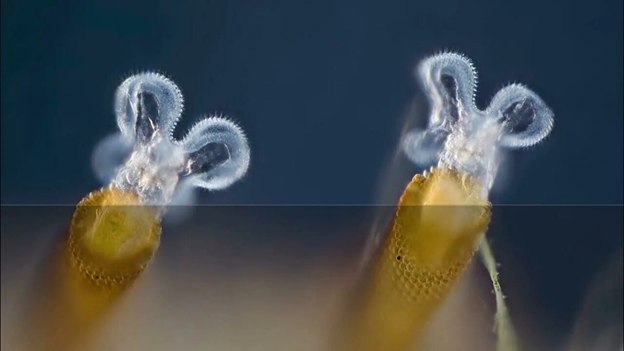 Хмм это они на меня сейчас смотрят или нет?