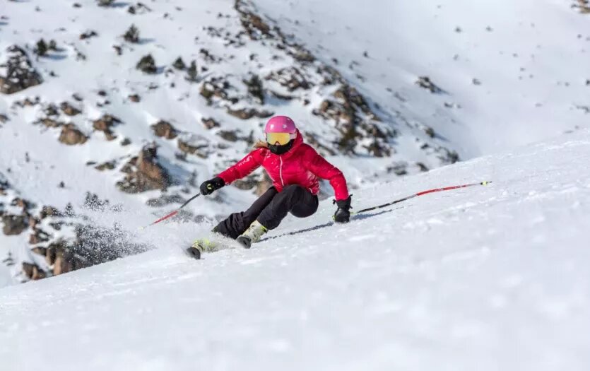 Фото: freepik / wirestock