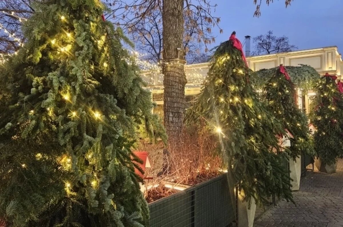    4 января в Краснодарском крае ожидается весеннее потепление до 12 градусов